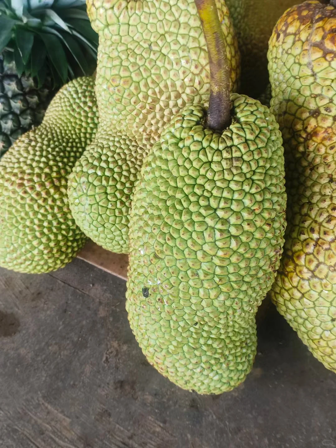 知道水果最多的童鞋送神秘奖品一份～