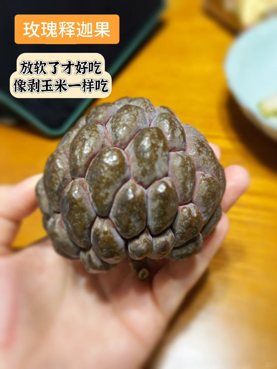 海南水果大冒险?