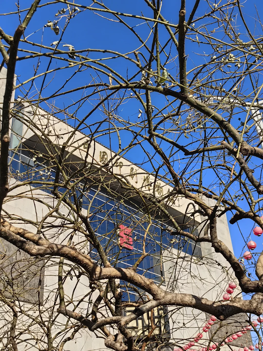 ?北京遛娃小众新地标!带娃亲手印生肖。