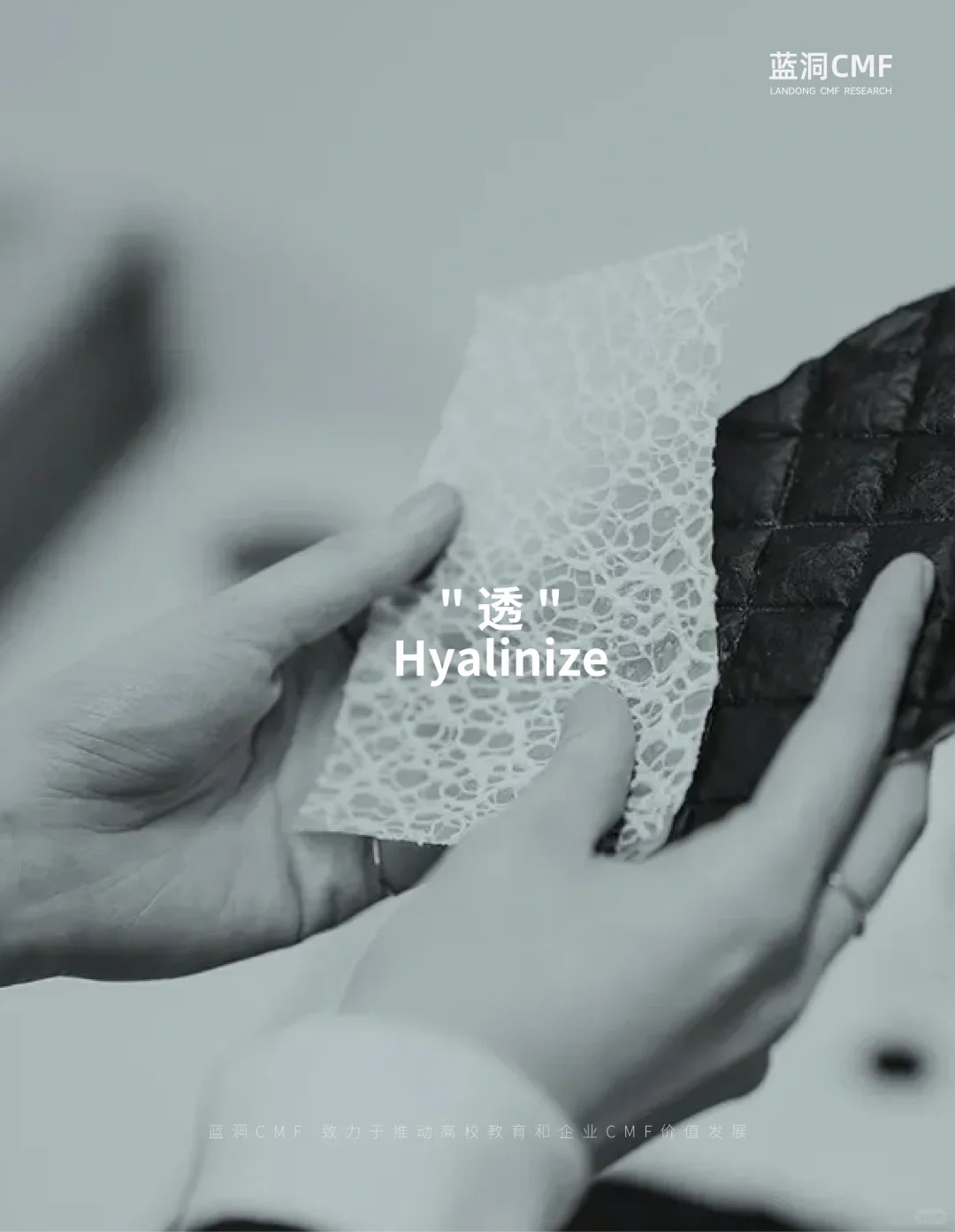 未来趋势的新材料｜微生物织物