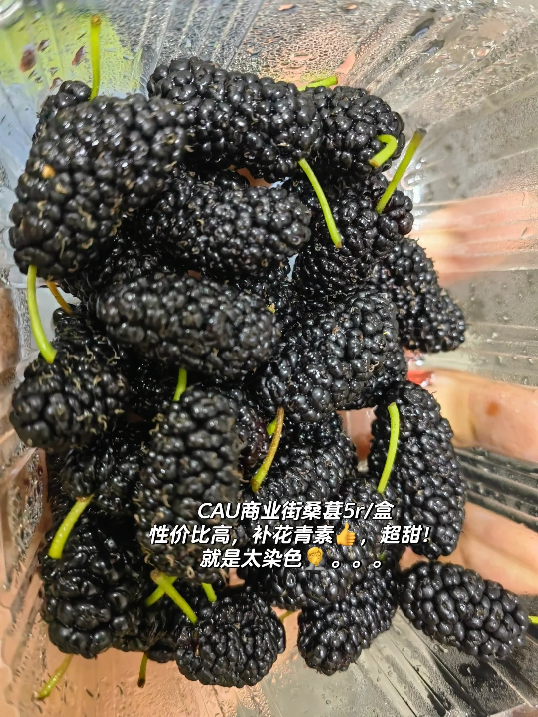 【CAU水果集】所以大家都在吃什么水果?