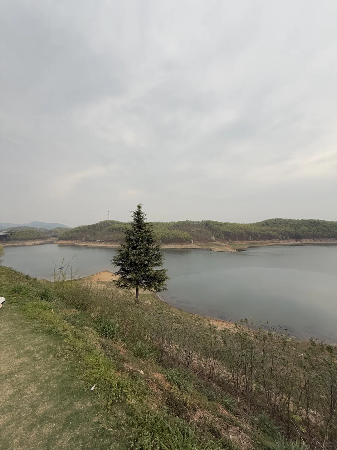 偶然发现能一个露营的服务区，环境优美