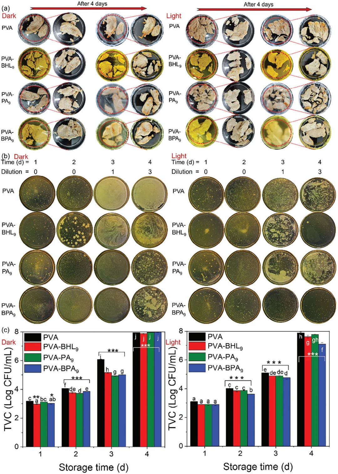 会发光的保鲜膜？抗菌黑科技✨
