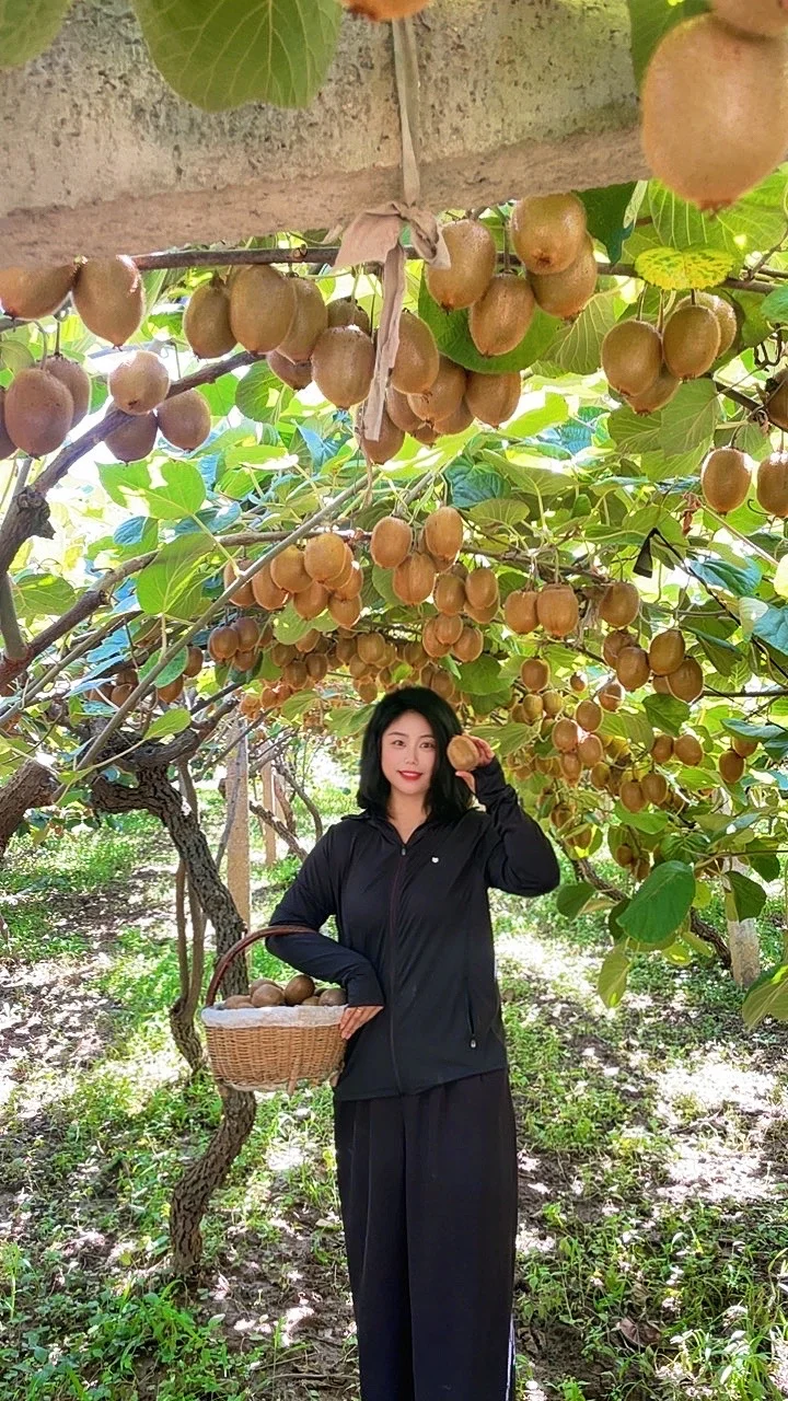 被猕猴桃治愈的季节到了！