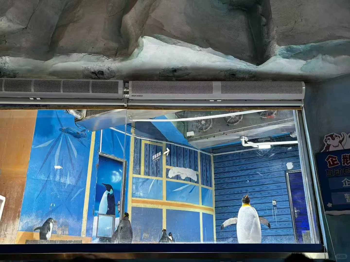 ?变革者之周研学之旅:山东青岛