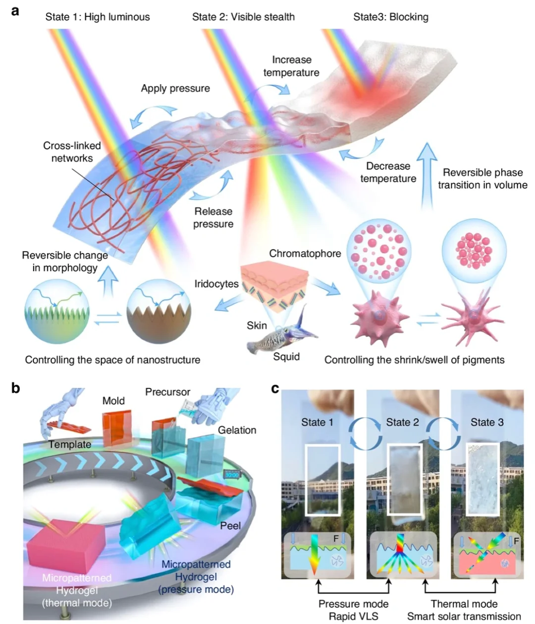 变色微图案水凝胶，隐身和光热调控智能窗