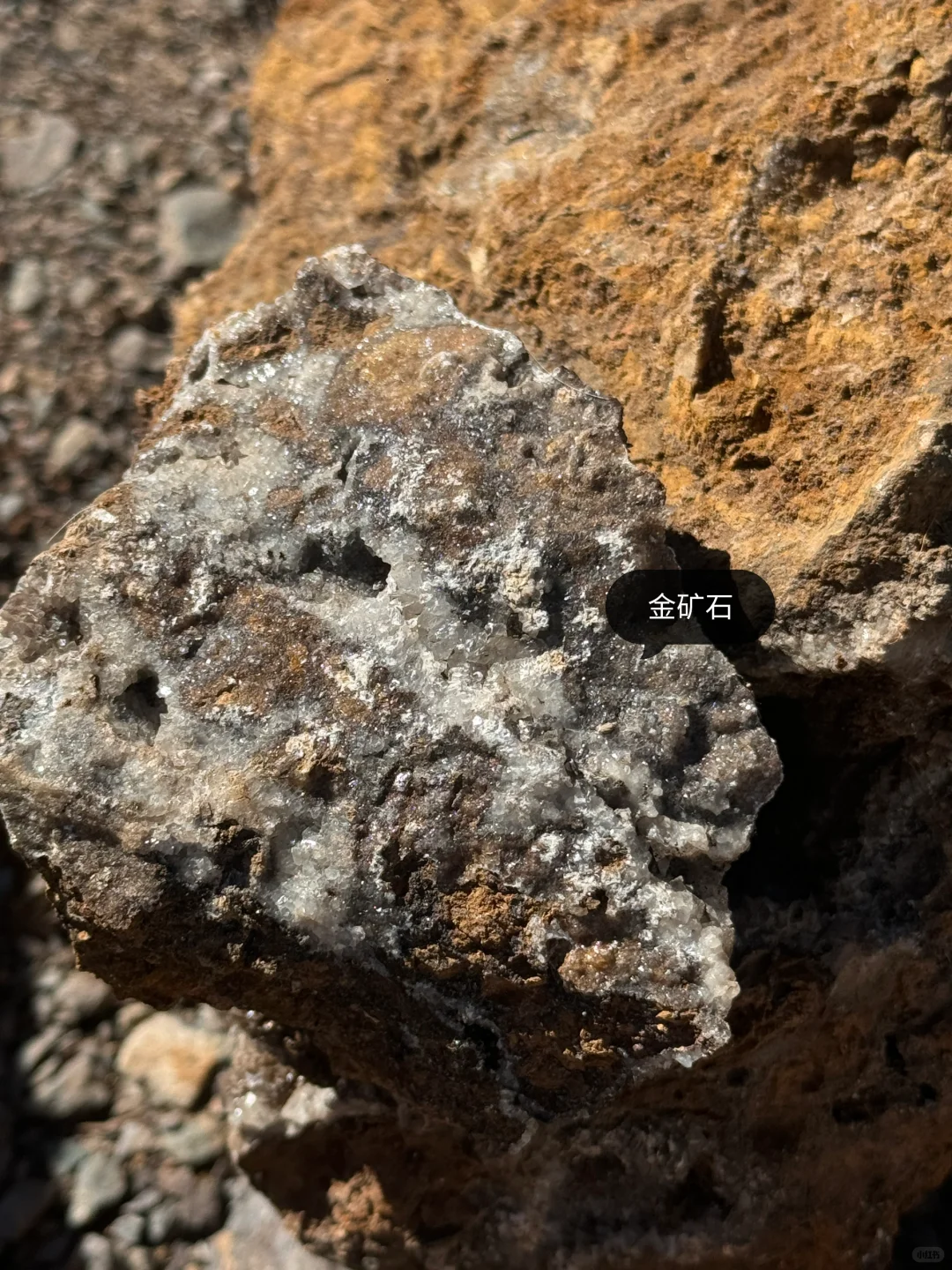 乡镇林业站工作日常｜巡山 赶集 闲适的一天