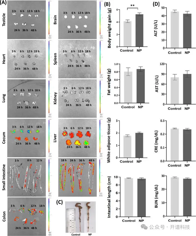 微塑料+转录组，揭示纳米塑料危害肠道健康新