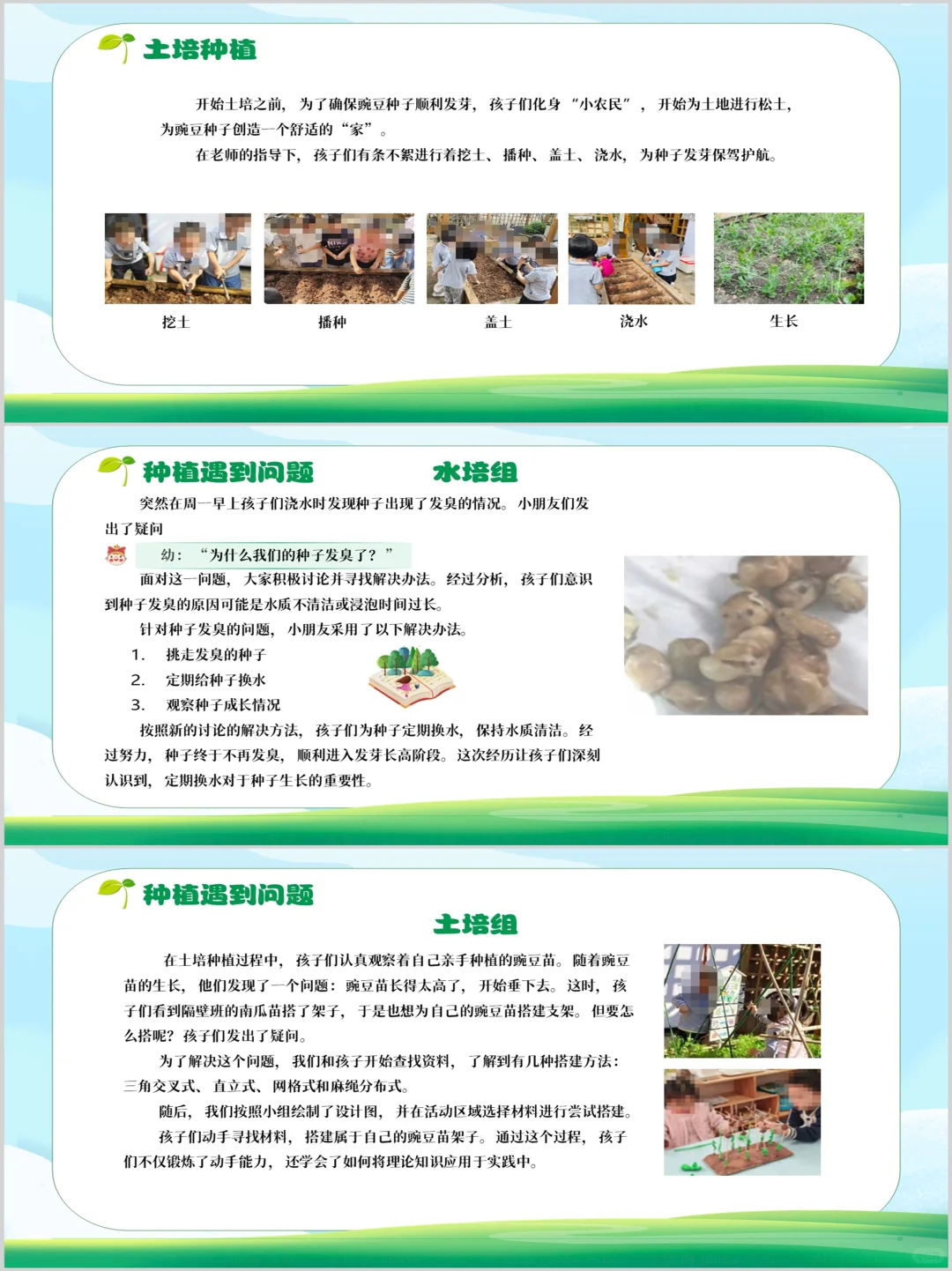 幼儿园班本课程PPT《神奇的种子》含文稿