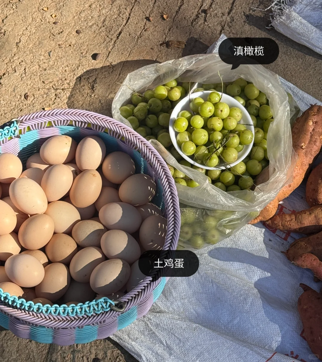 乡镇林业站工作日常｜巡山 赶集 闲适的一天