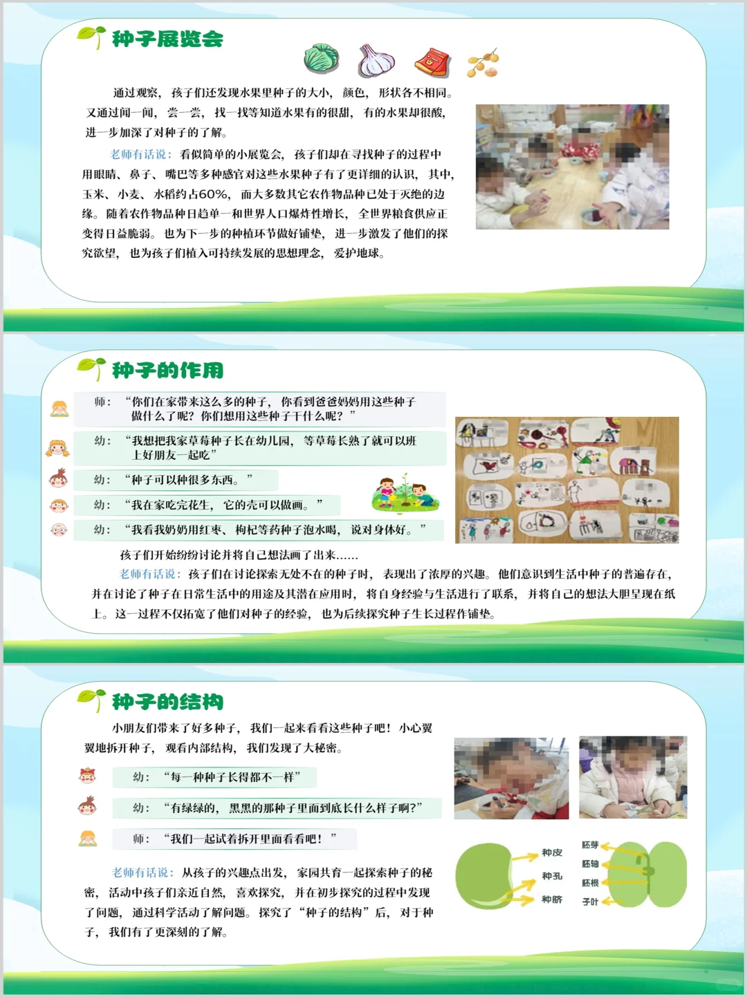 幼儿园班本课程PPT《神奇的种子》含文稿