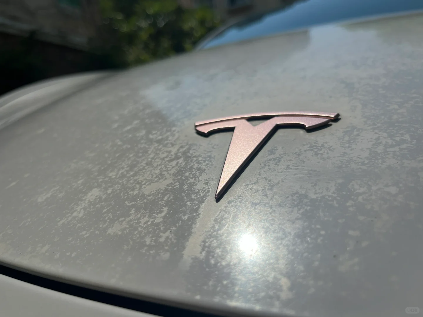 哑灰PVC改色膜2年氧化