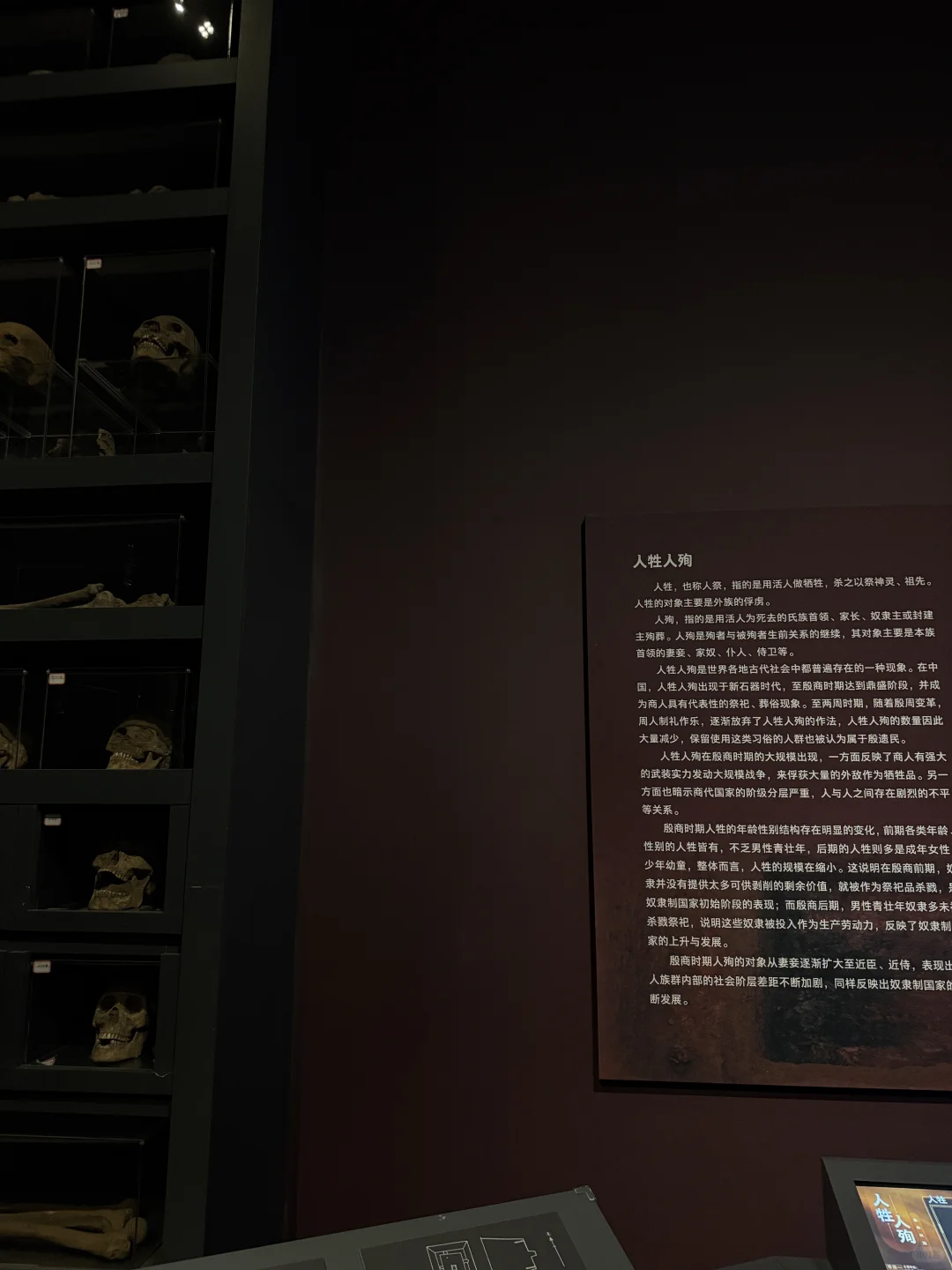 独身的浪漫小事：逛考古博物馆