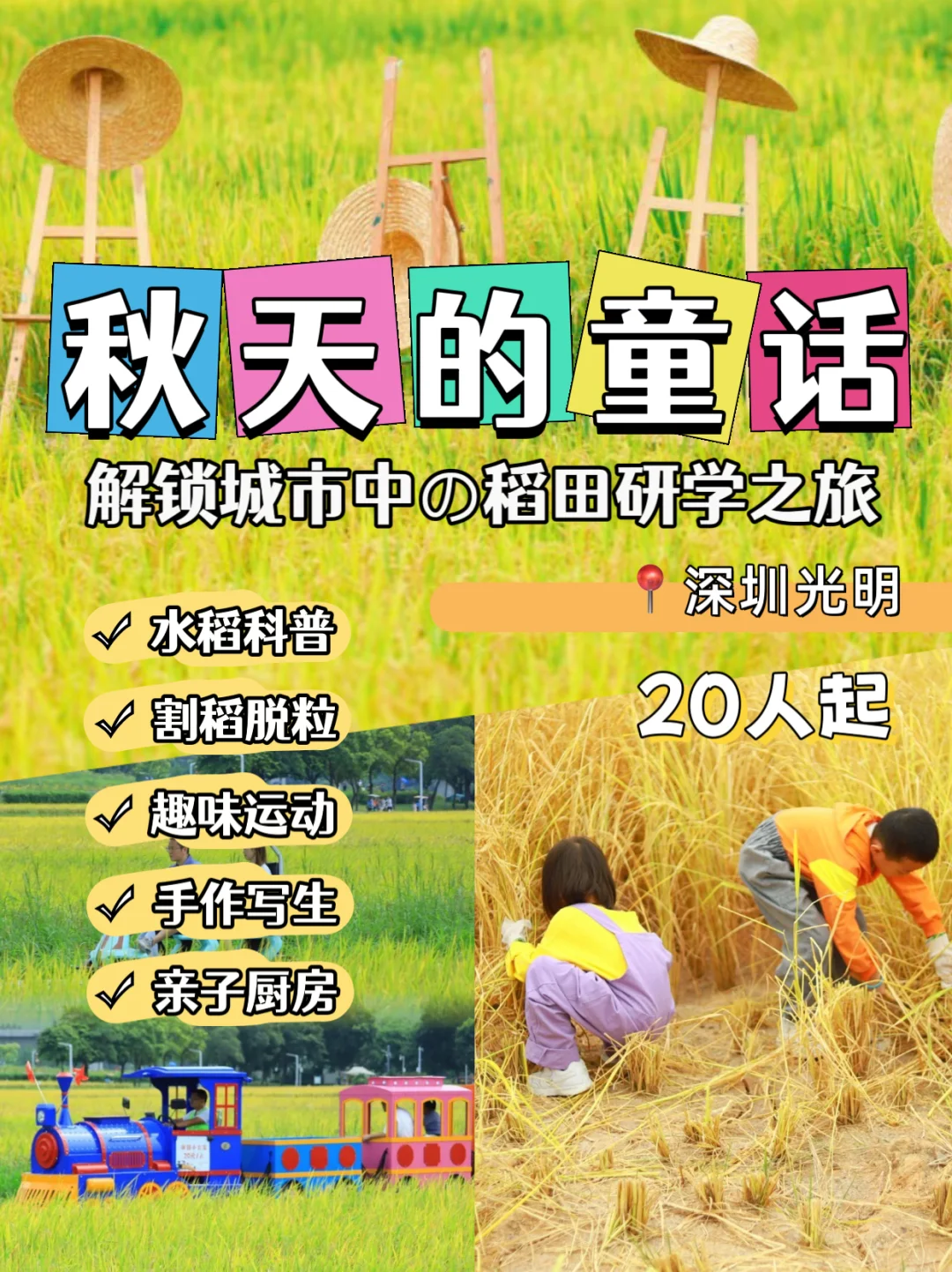深圳团建丨稻田研学一日游,解锁秋天的童话