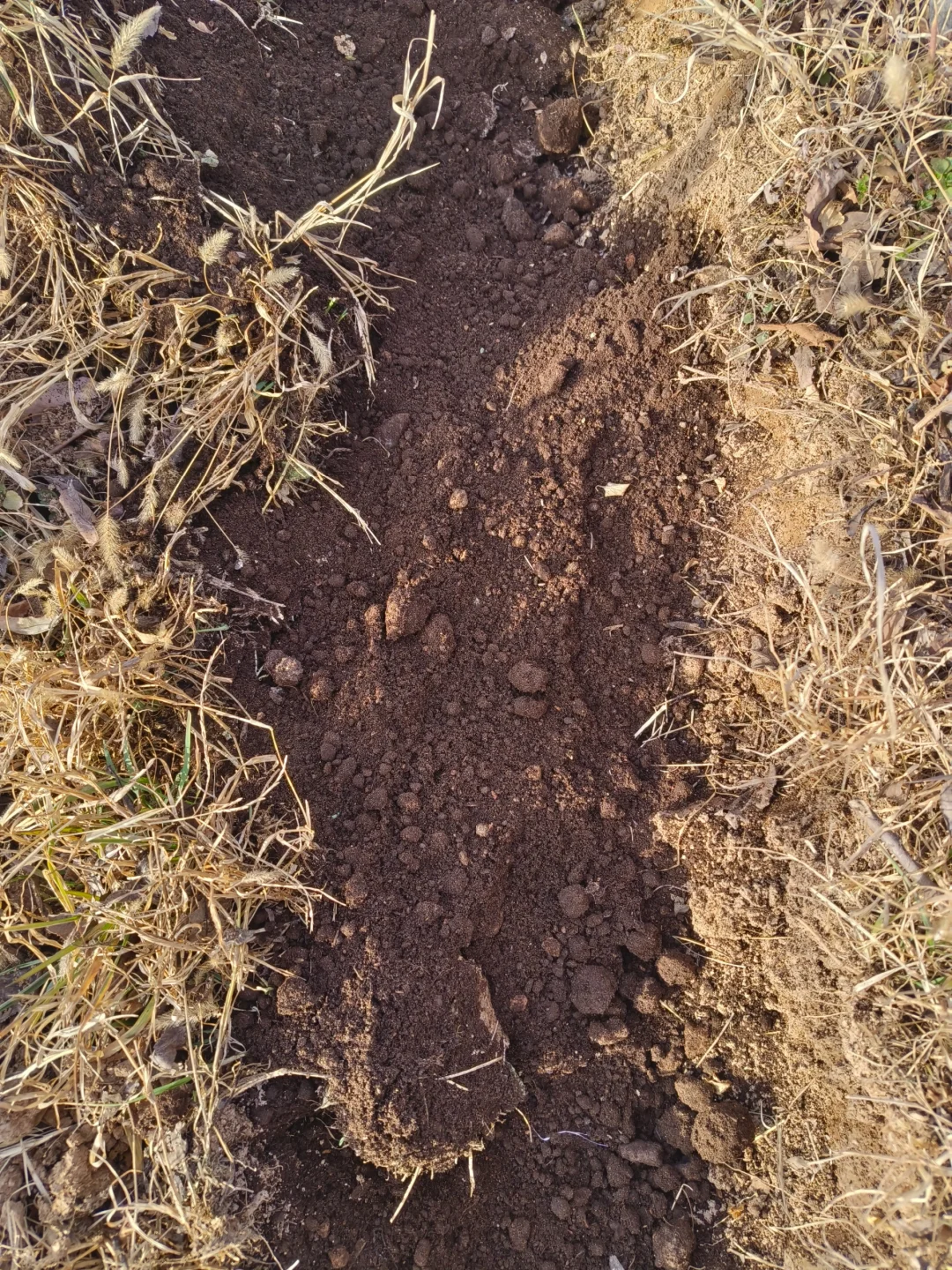 我的第一个西安团购群今天成立了