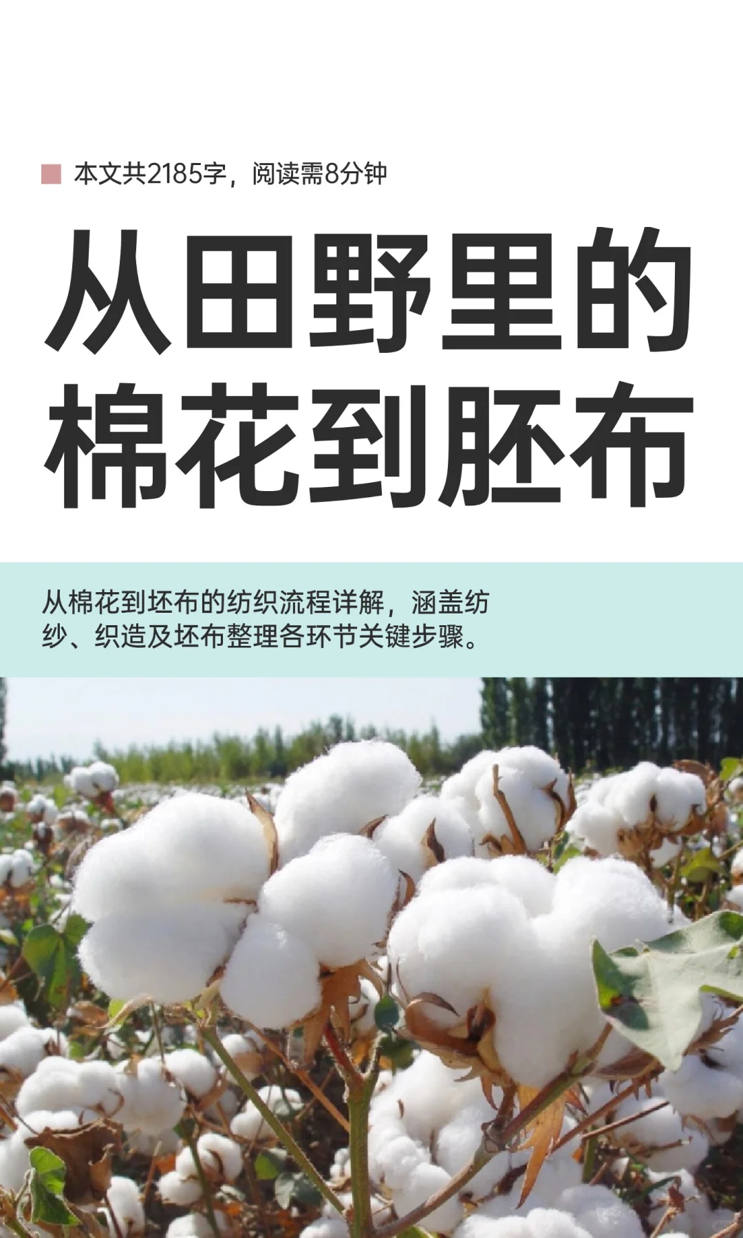 从田野里的棉花到胚布
