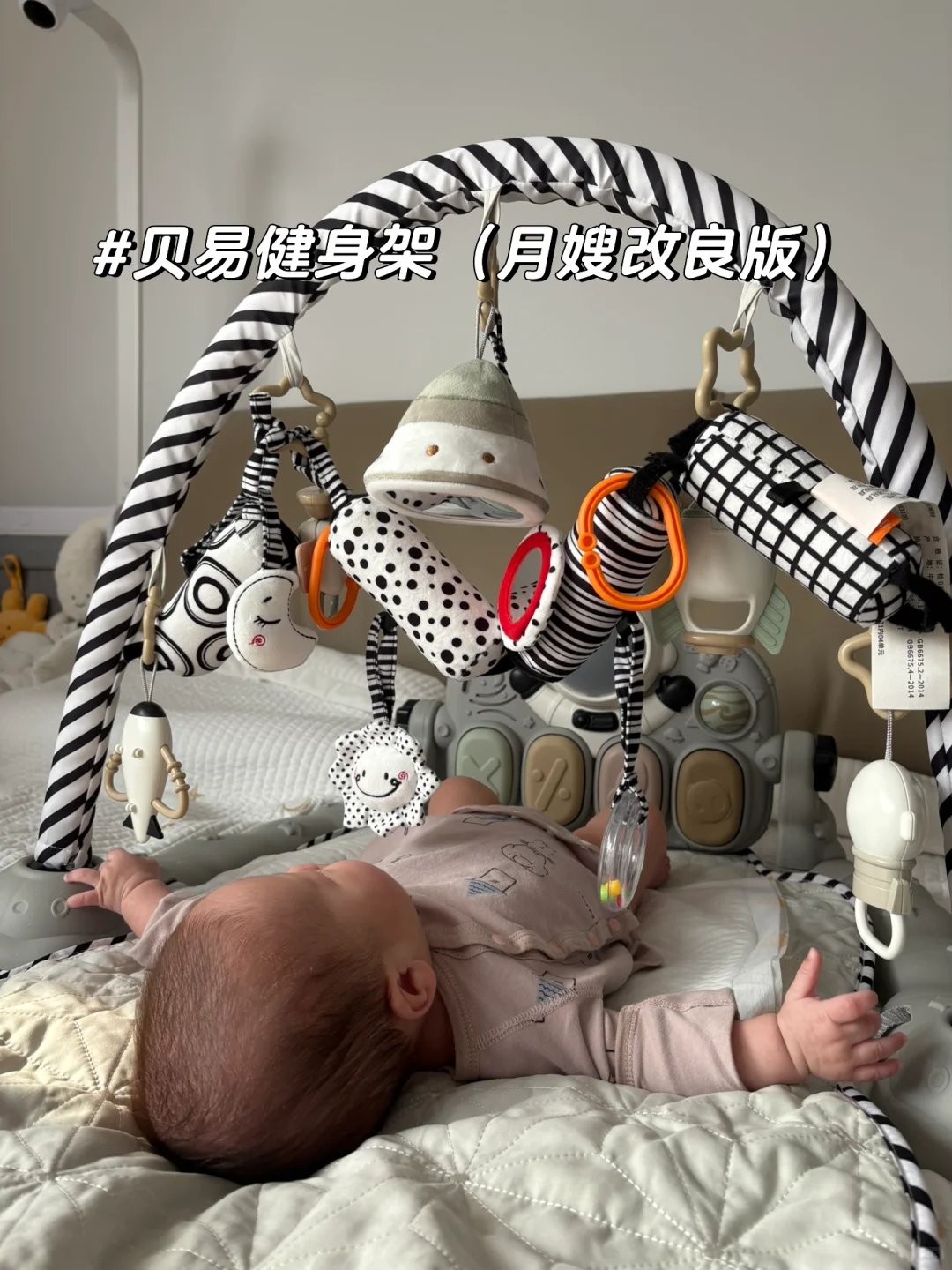 宝宝好物分享｜玩具已备好，宝宝请就位！