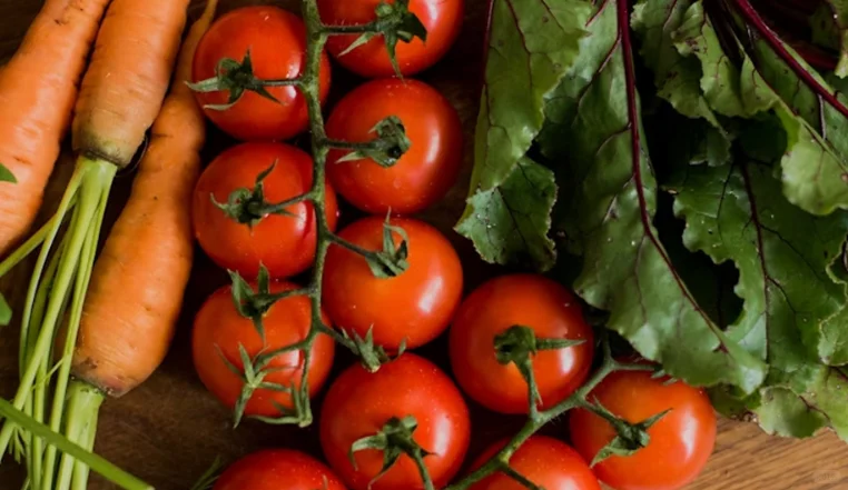 守护“小熊饼干”的高速分拣防线