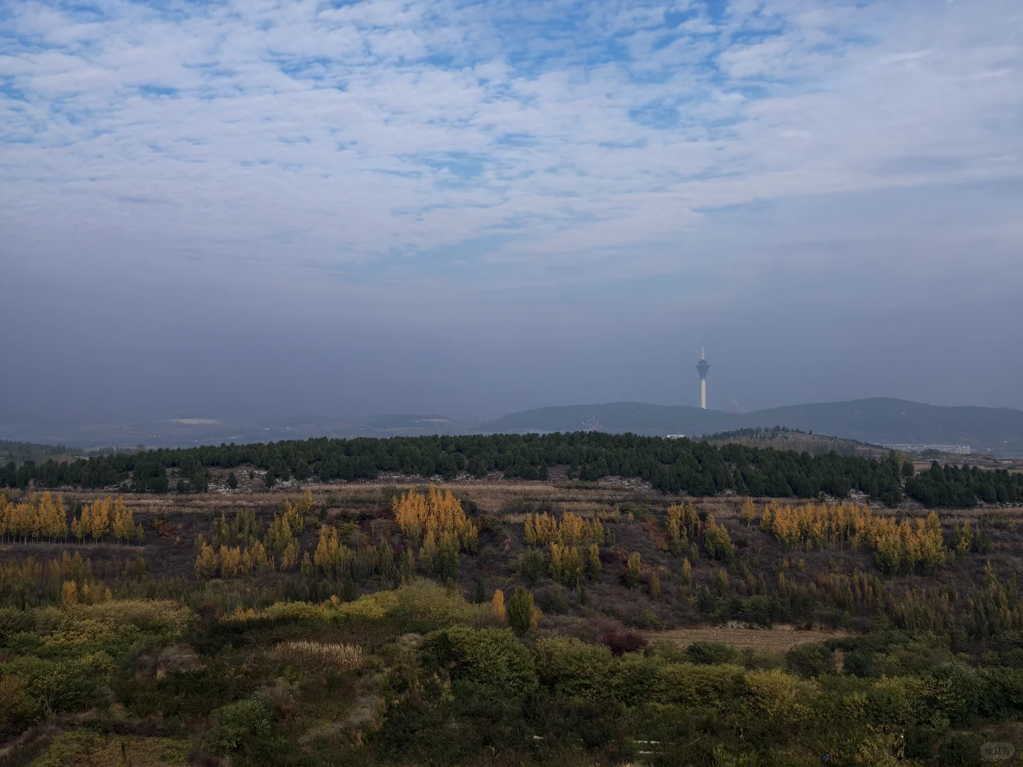 浅浅分享林业工作者的工作日常