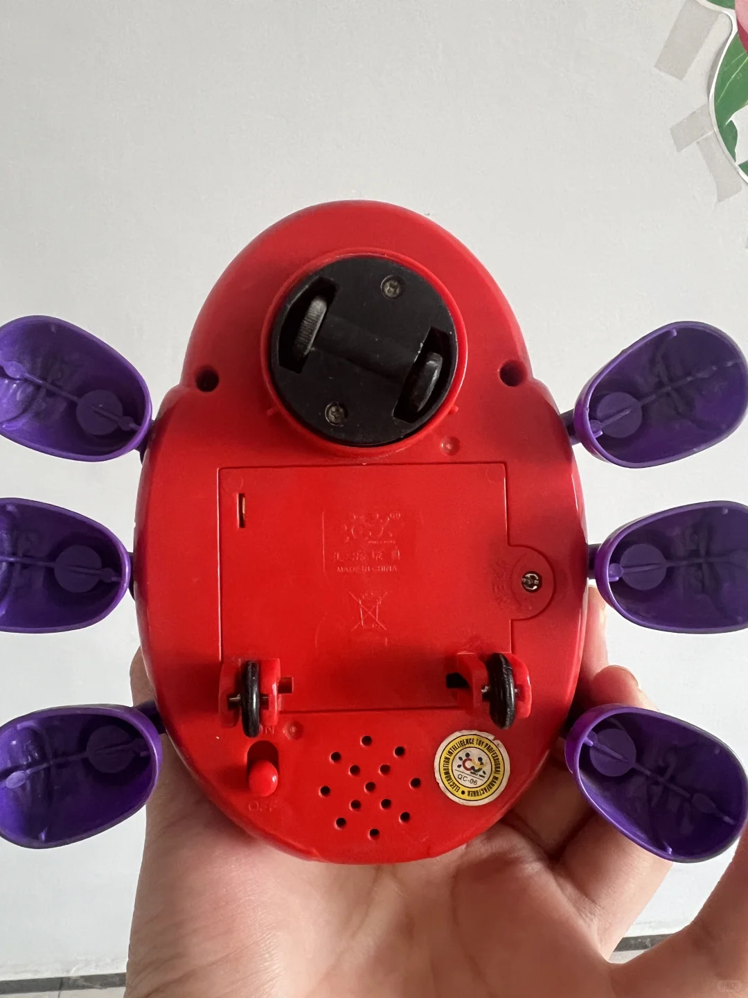 这只甲壳虫已经有26年了?