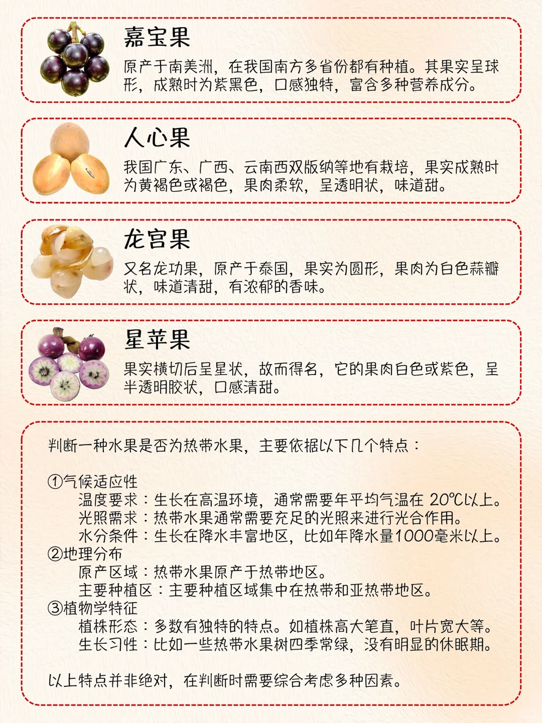 热带水果大集合