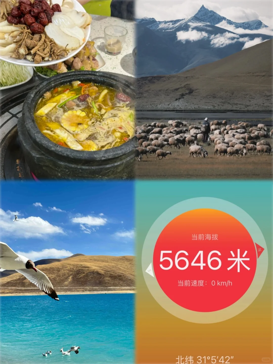 高原旅行别慌！亲测防高反小妙招✨