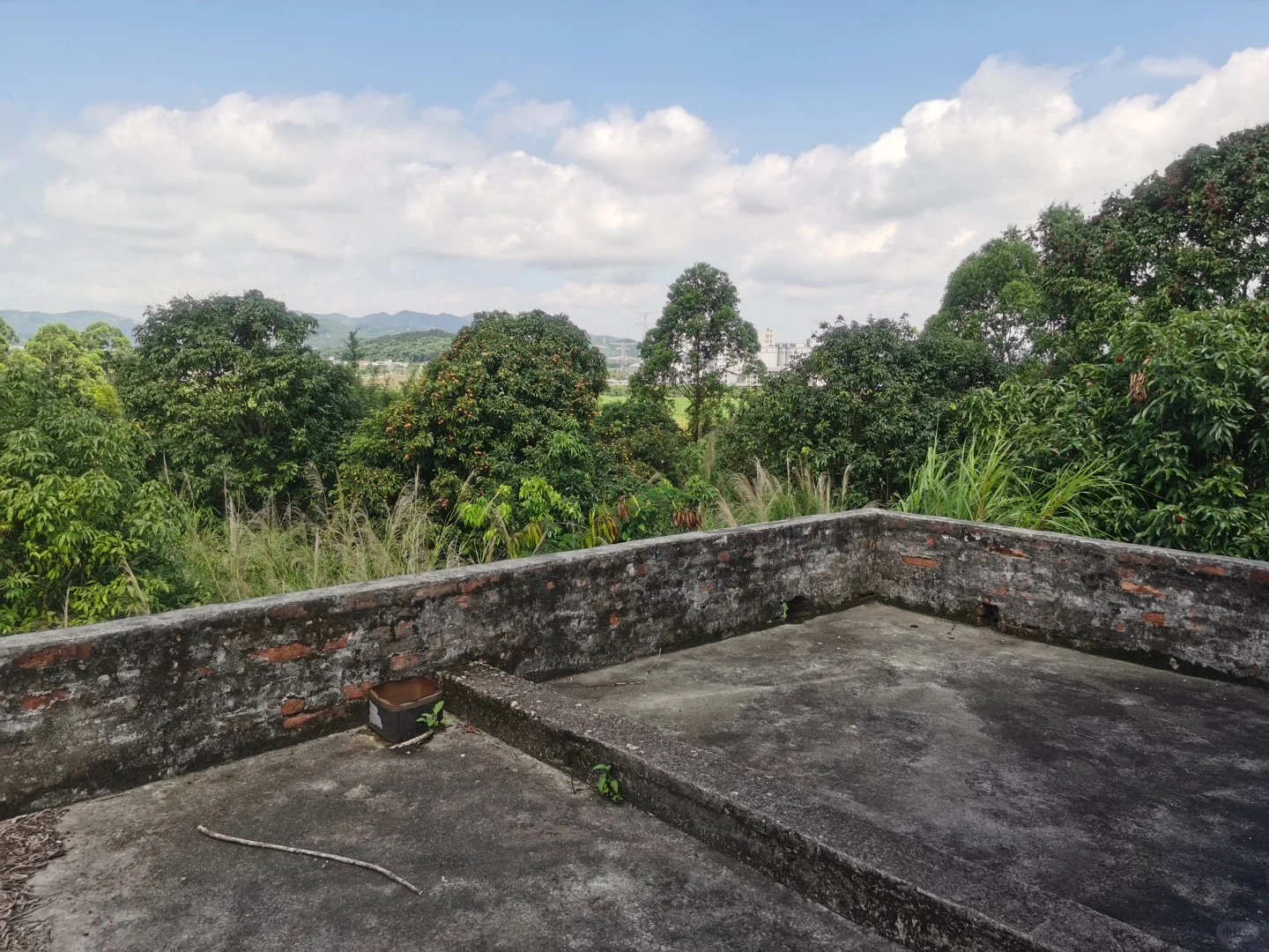 大量养殖的20亩果园