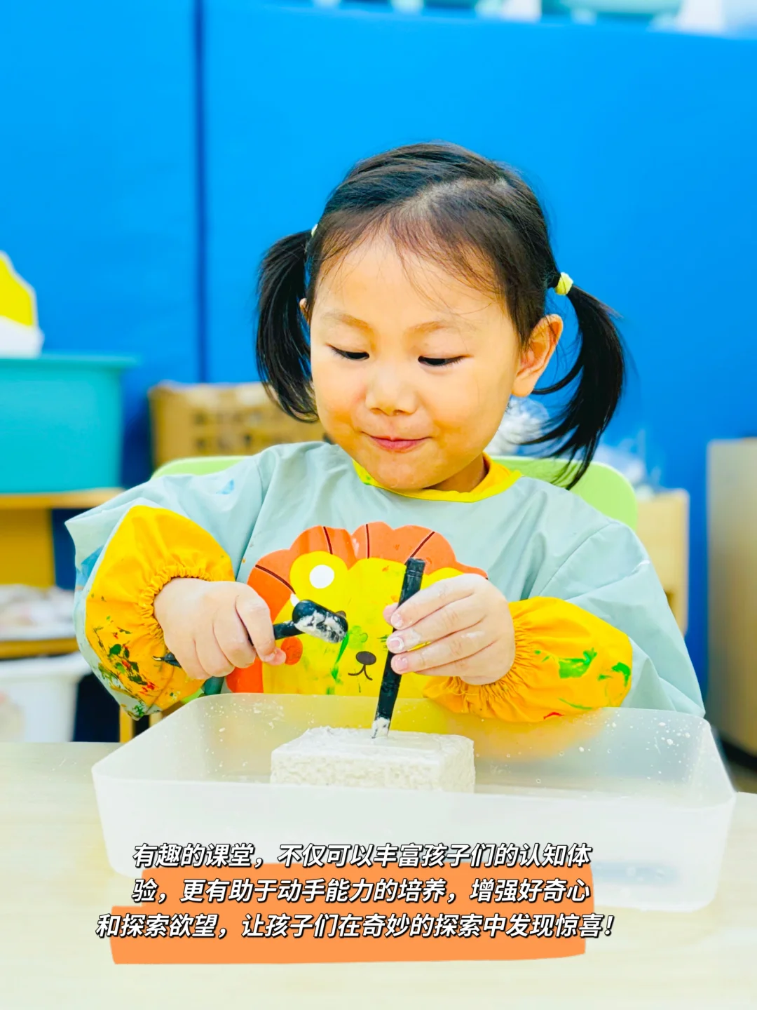 托班课程—寻宝日：科学探索《小小考古家》