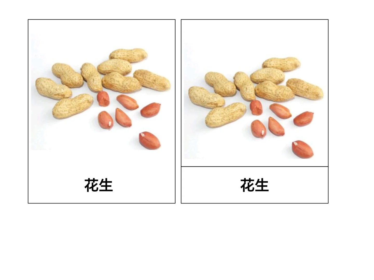 秋天主题-农作物和水果三段卡