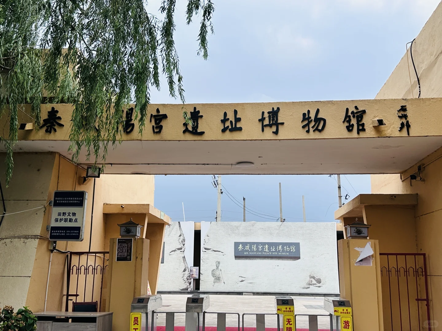 挖到宝啦?沉浸式考古体验太酷啦！