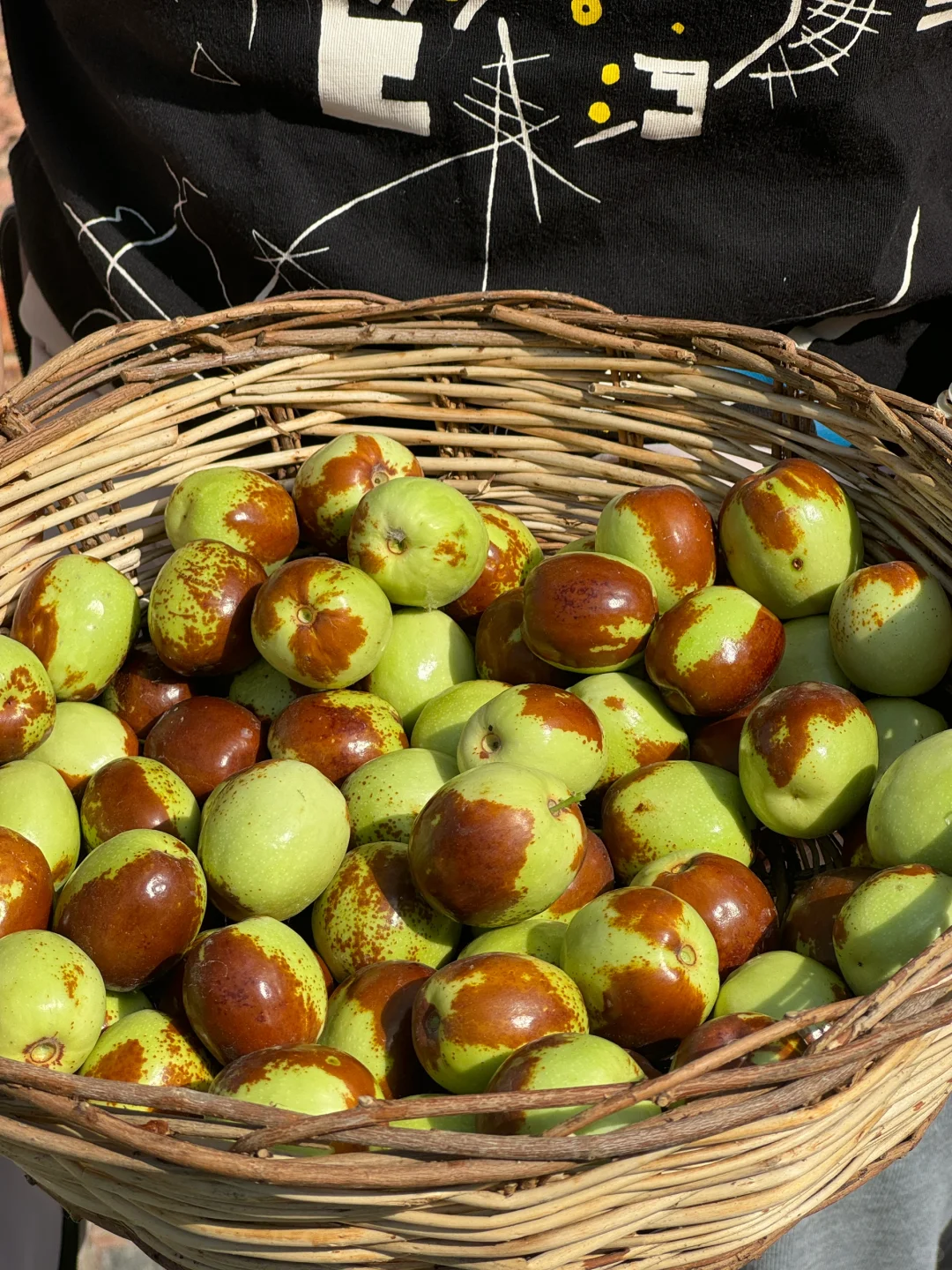 在伊犁的水果都是来报恩的