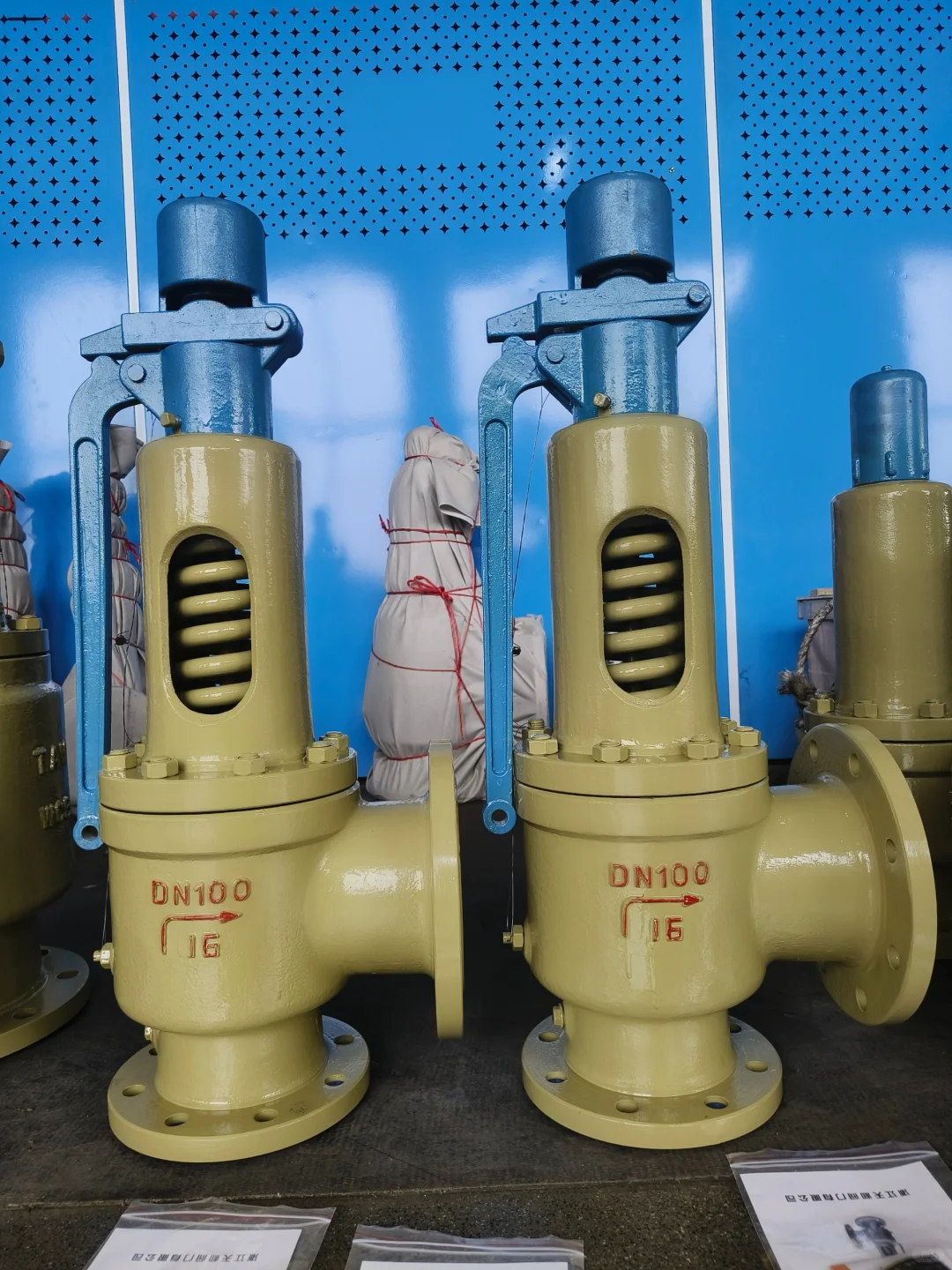 安全阀品种?很多，无奈只能发这么几张