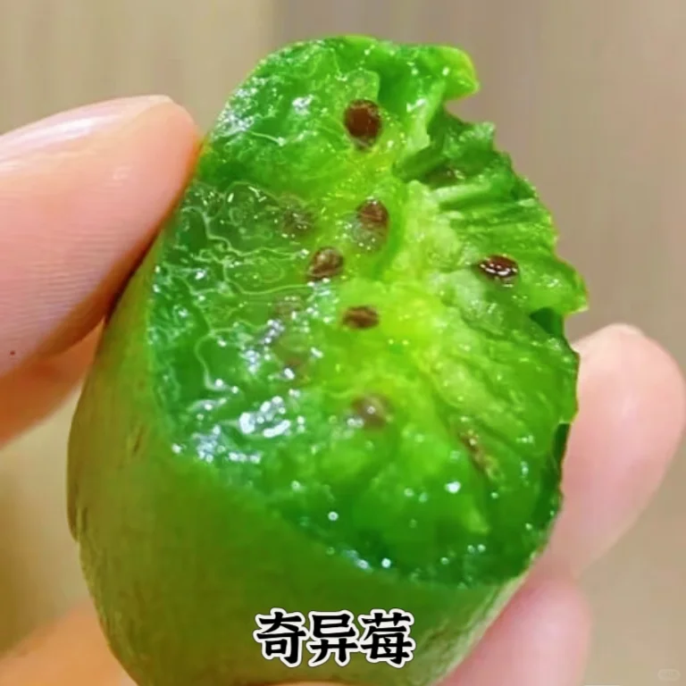 近期吃过的小众水果合集