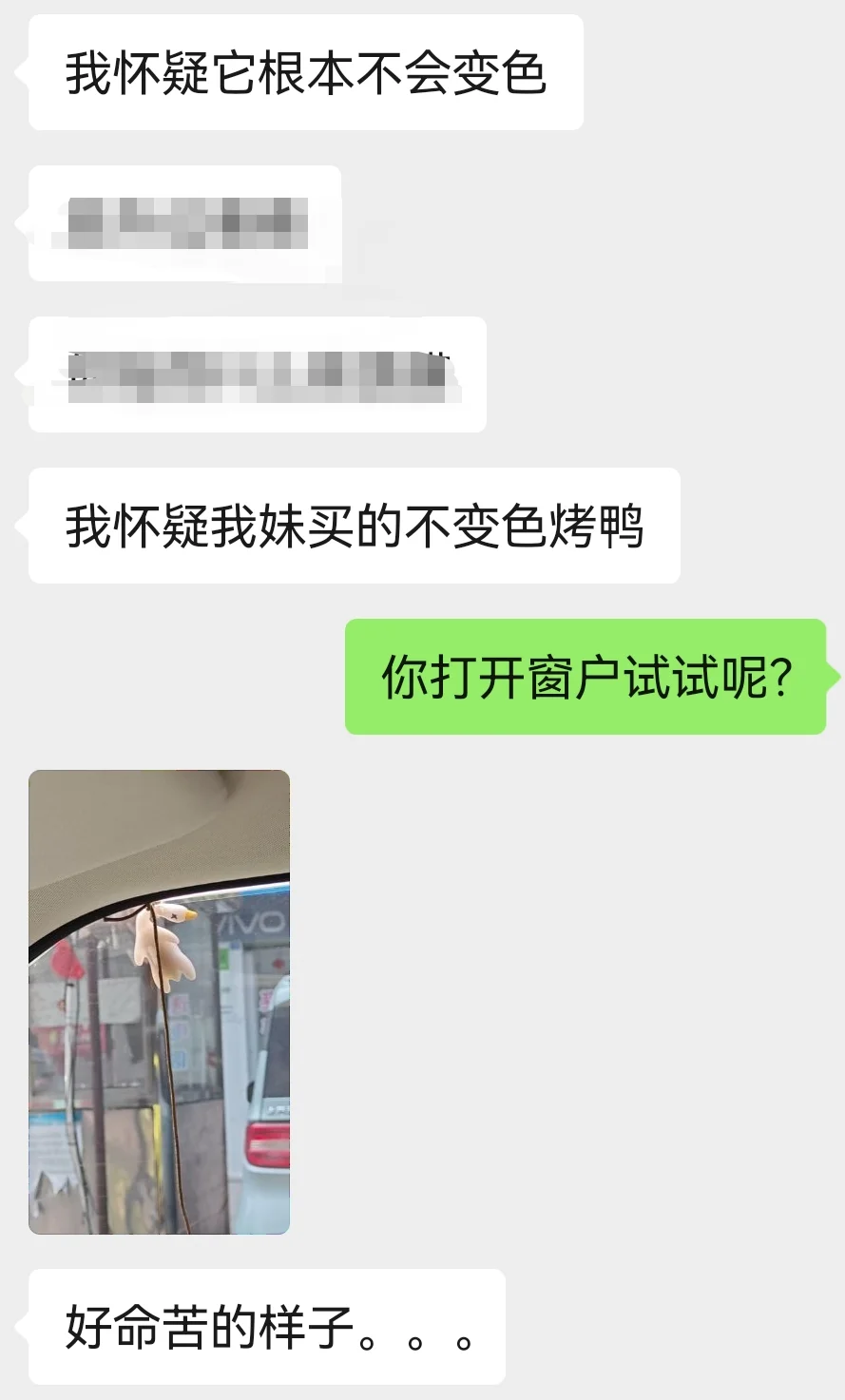 谁说这个烤鸭没用的
