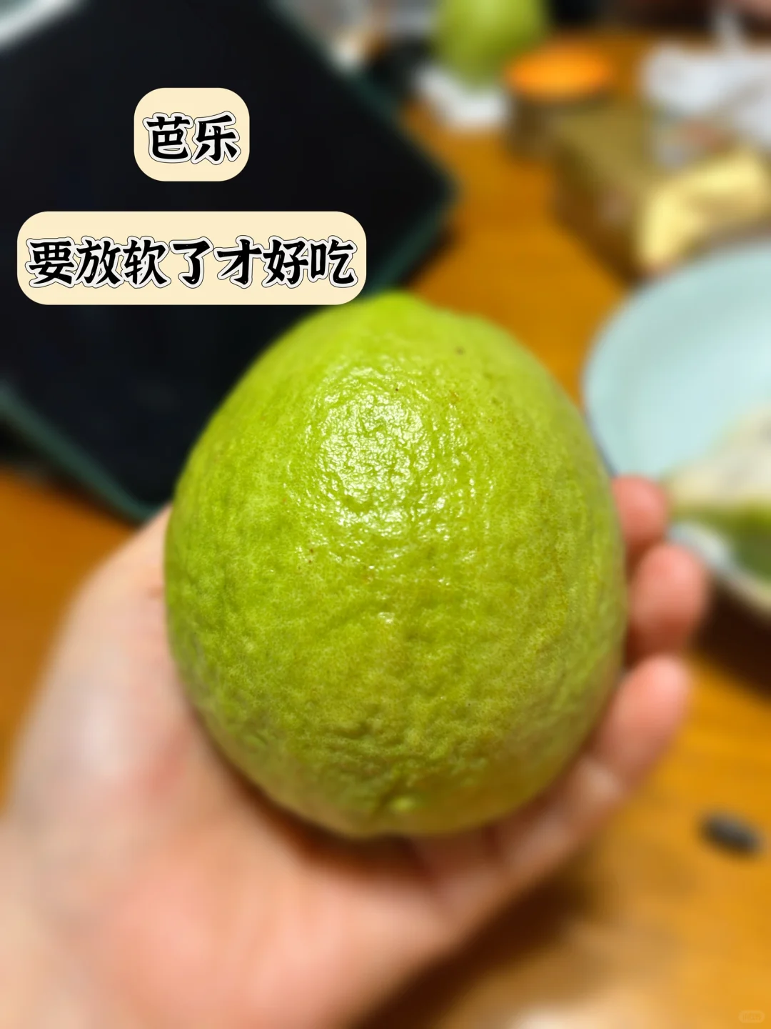 海南水果大冒险?