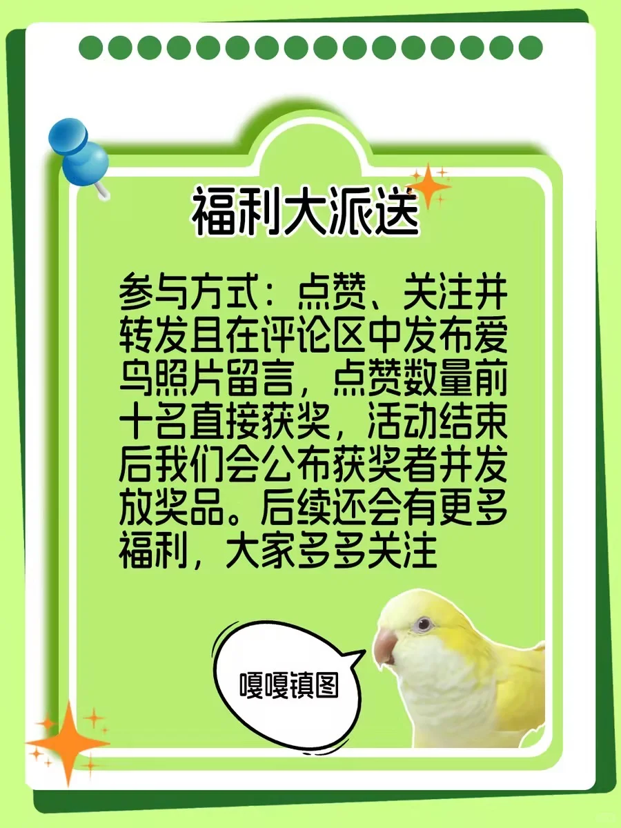 【?谁家鸟宝最可爱，点赞TOP10直接送玩具！】