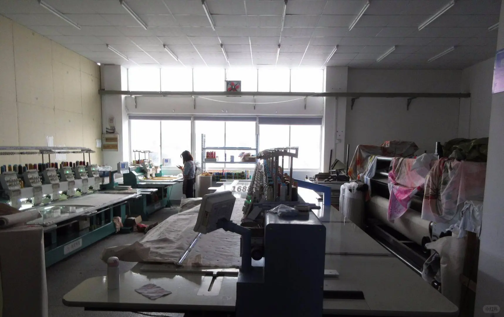 袋鼠考拉扎根扬州，匠心打造高品质毛绒玩具