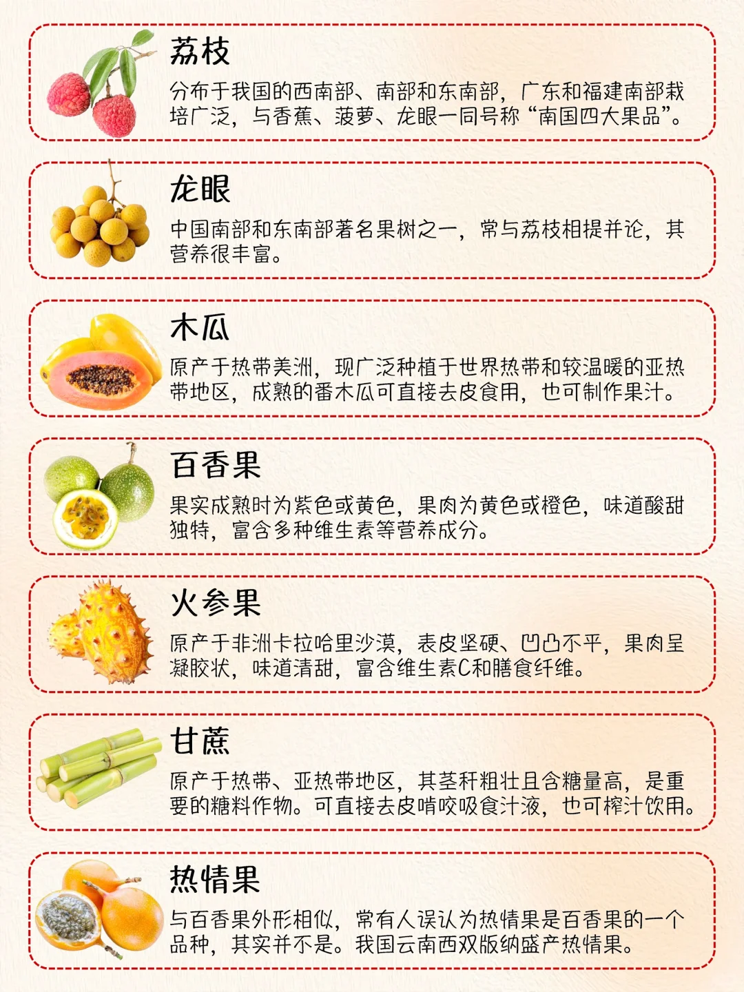 热带水果大集合