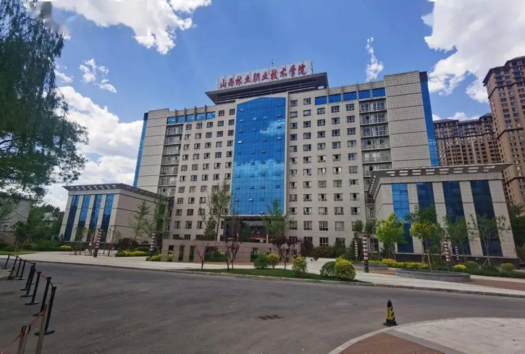 分享在林校一年感悟(致乐观积极的小同学)