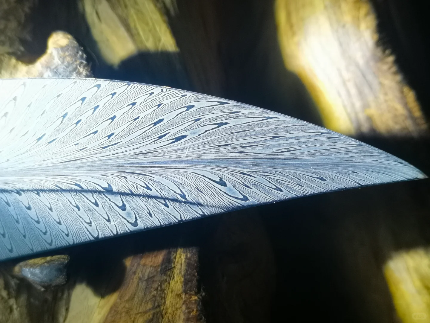 以前做的一个玩具