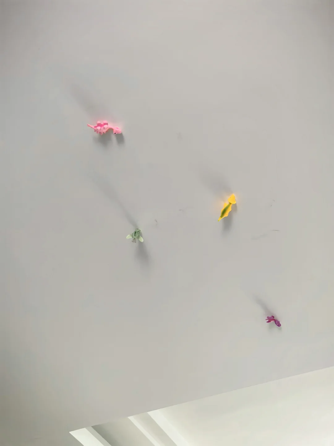 我宣布！这是我买过性价比最高的玩具