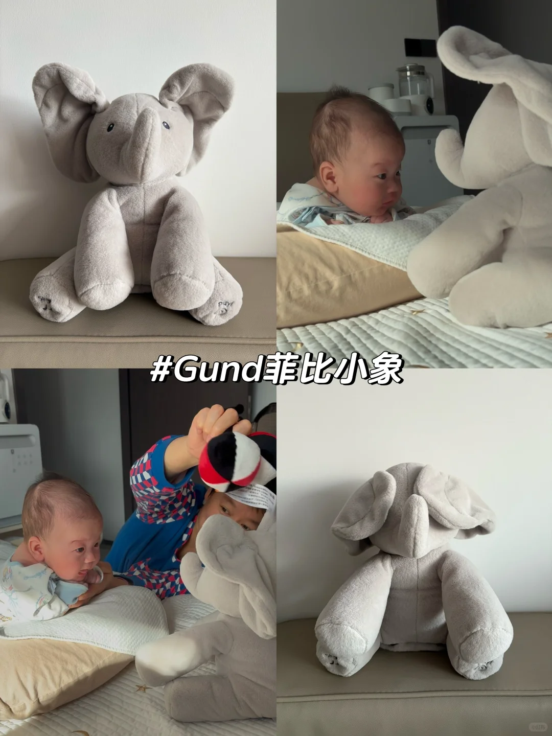 宝宝好物分享｜玩具已备好，宝宝请就位！