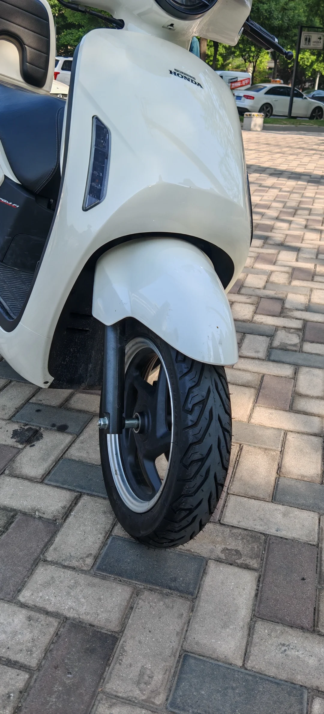 给小拉换了双米其林的鞋