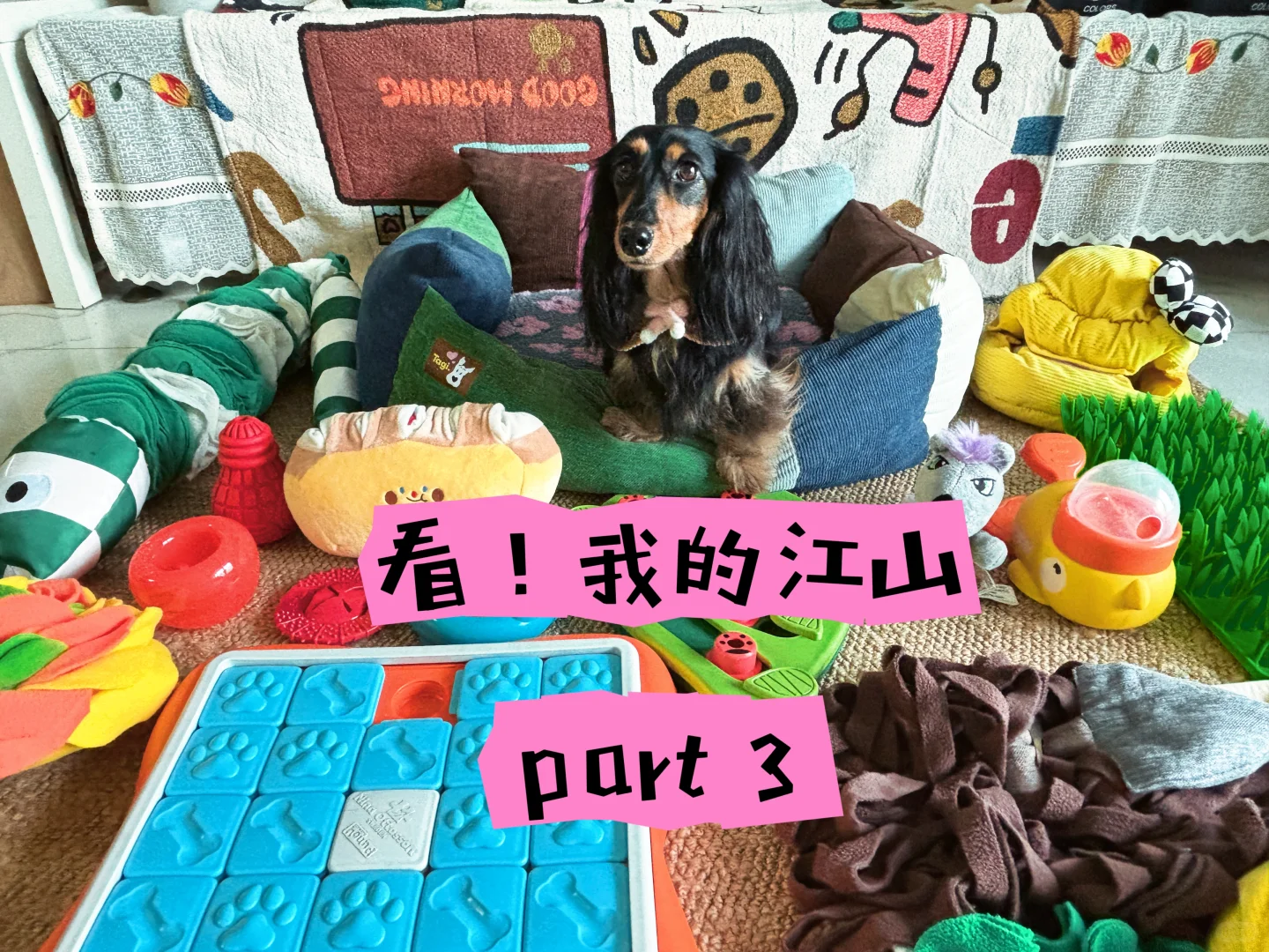 ?欢迎来到我的玩具城?part3