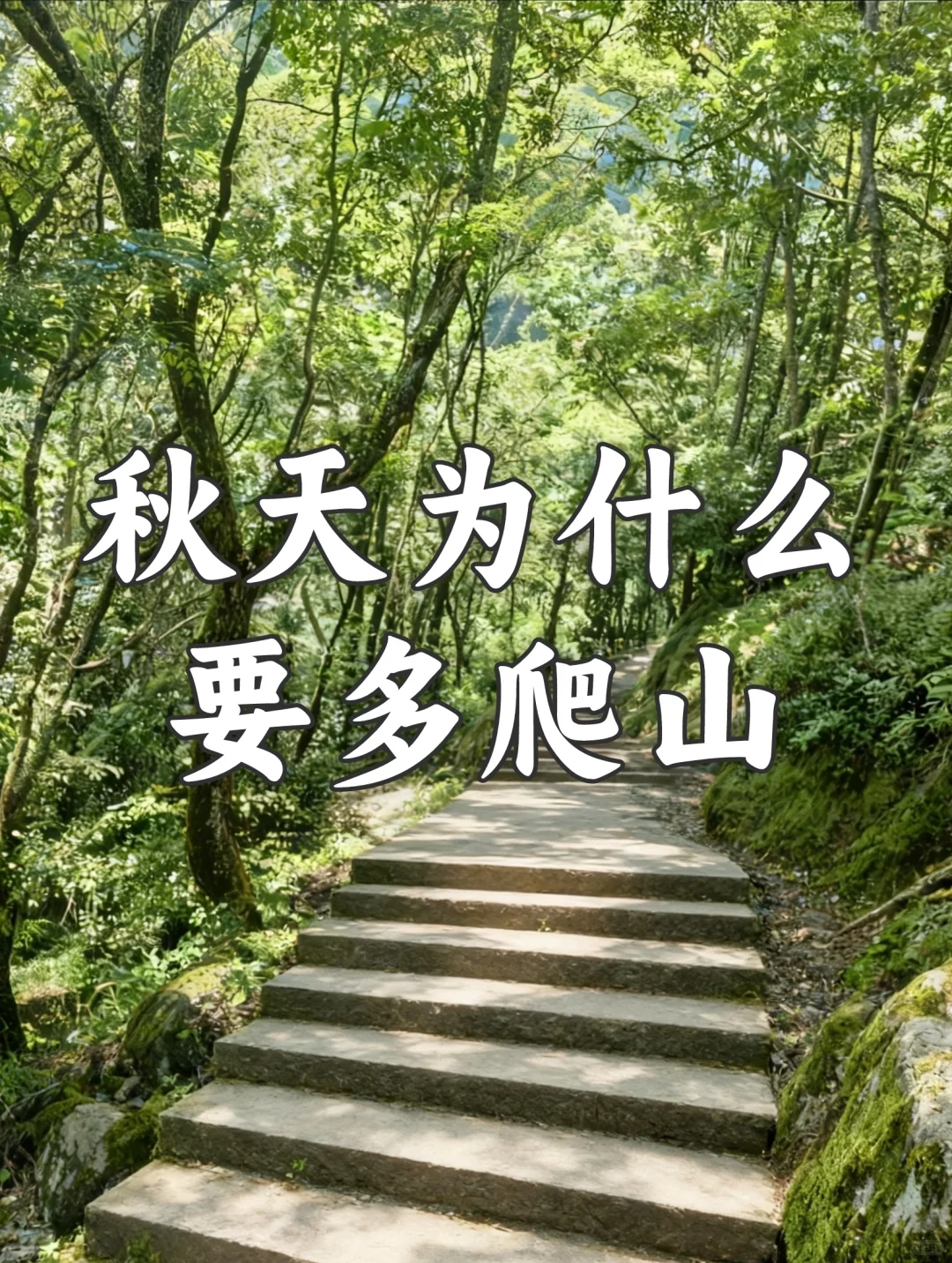 秋天爬山，就是“不花钱”的大补