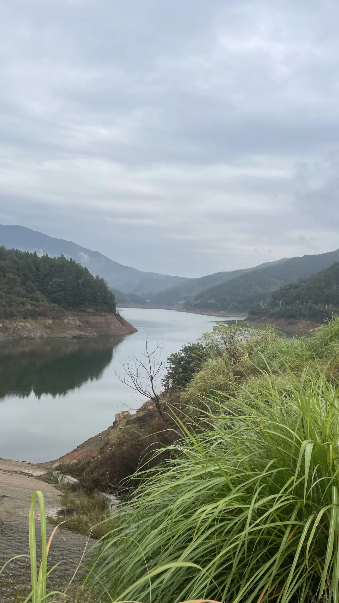 骑本田125La摔车总结，买踏板还是摩托参考