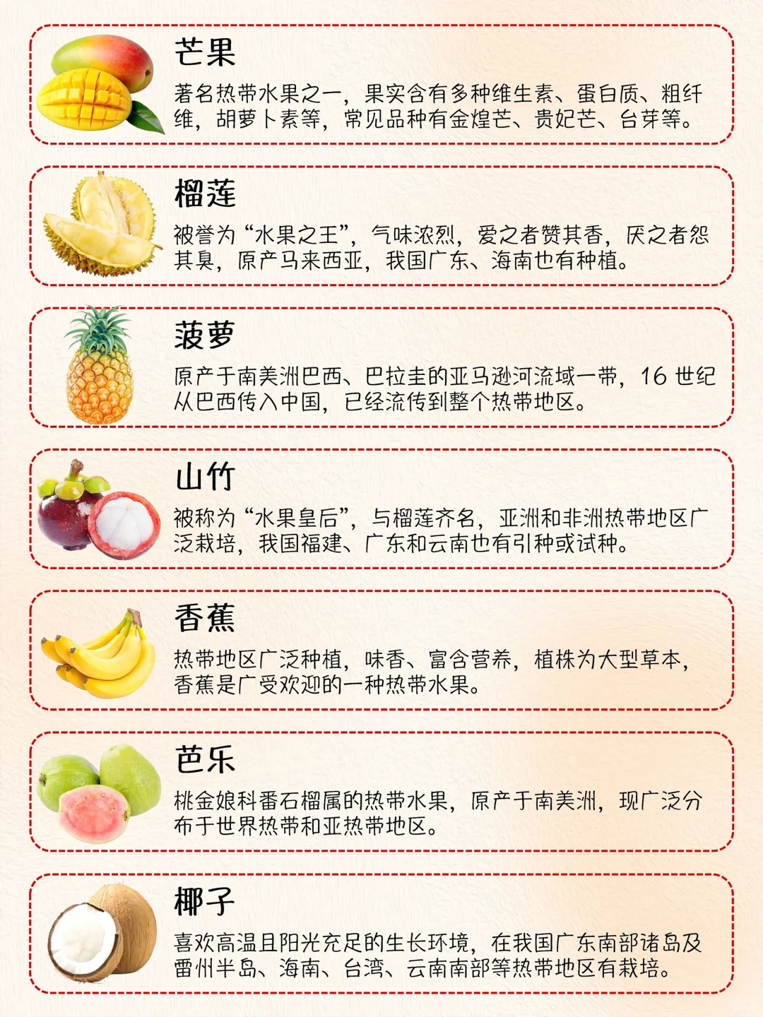 热带水果大集合