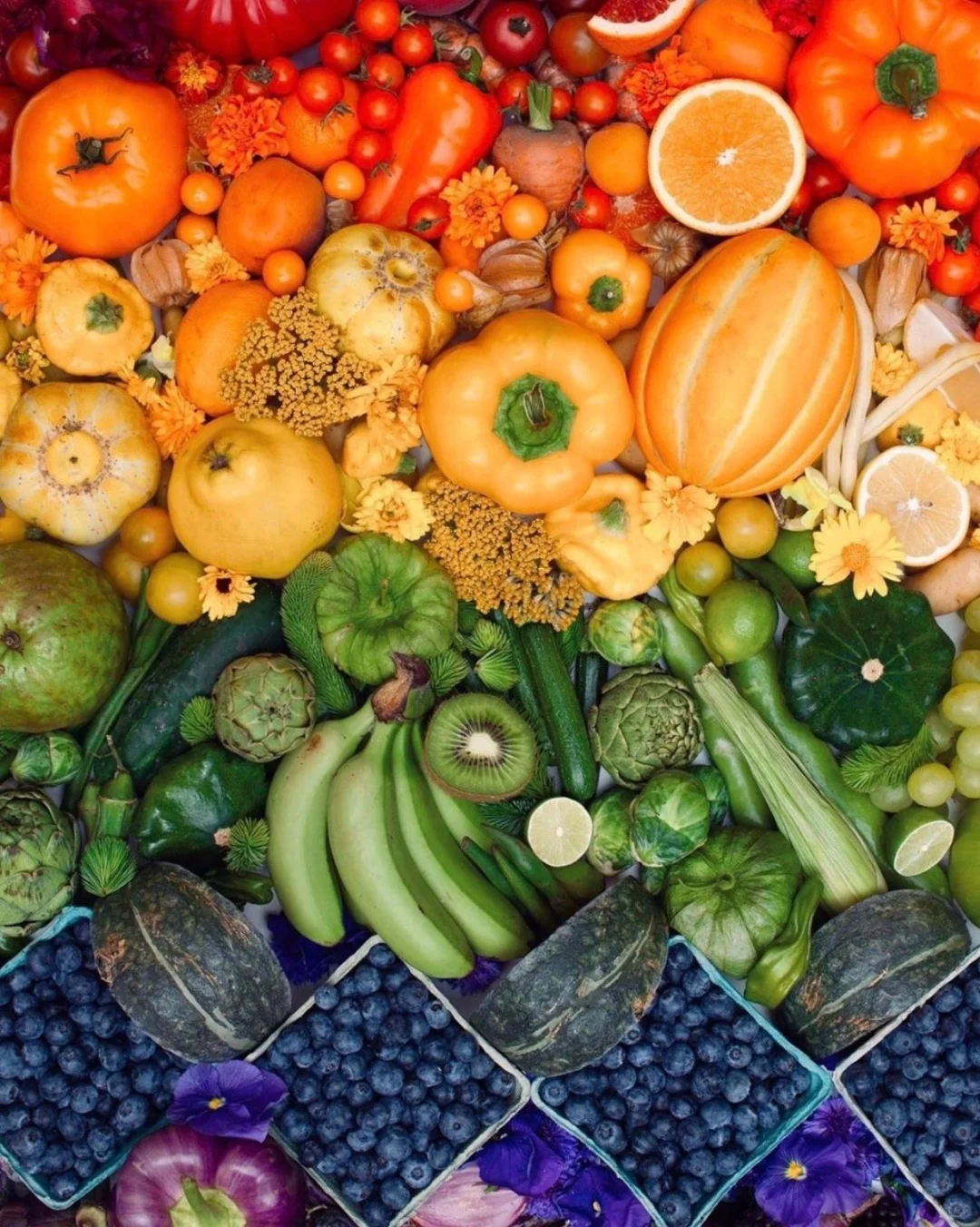 画画素材|这真的太治愈了！彩虹水果蔬菜?