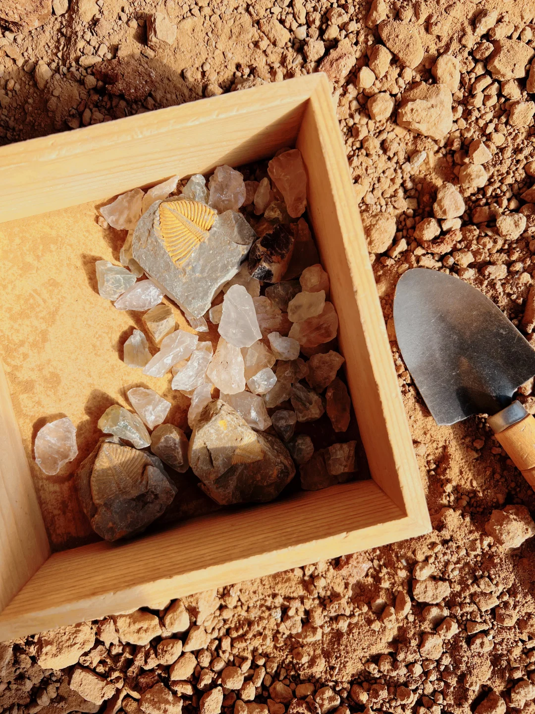 哪个小孩能拒绝考古挖掘？关键是不贵