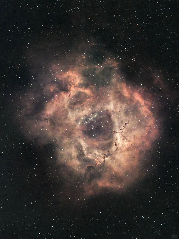 5200光年外的永生玫瑰